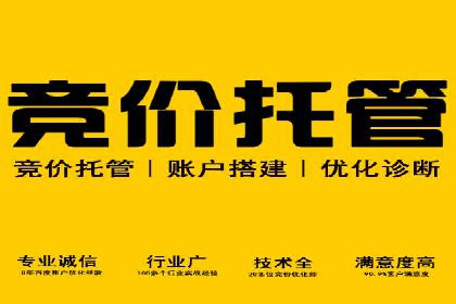 搜索引擎营销（SEM）优化全攻略：成功案例解析